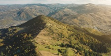 Green forest mountain top aerial. Carpathians travel destination. Pine trees, meadows, river, road