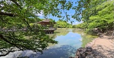 池のほとりを歩く