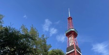 さっぽろテレビ塔と鮮やかな緑の木々と快晴の青空。コピースペース