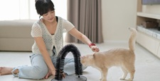 Young asian woman playing with pet cat at home supporting mental health wellness showing friendly emotion sitting on floor with toy arch groomer relaxing indoor environment feeling joyful