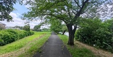 夏にロケ地の道を歩く
