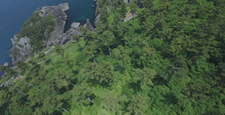 FPV 無人機在海岸拍攝的快速鏡頭 2