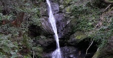 (Shizuoka Prefecture) Waterfall flowing in nature (Fix)